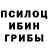 Псилоцибиновые грибы Psilocybe Ular Kuandyk