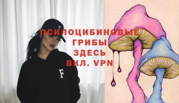 первитин Протвино