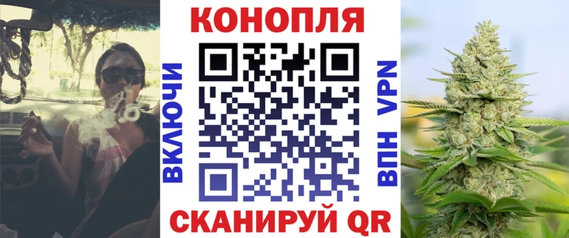 Бошки Шишки MAZAR Лабытнанги